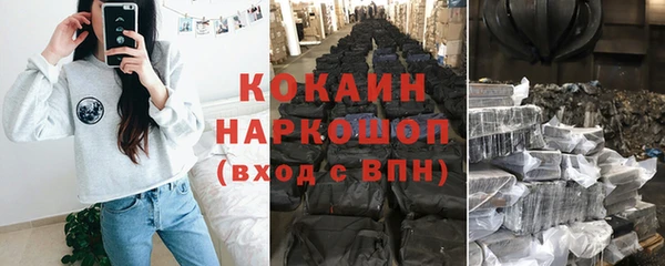 шишки Богородск
